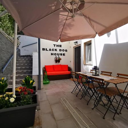 ולנצאנו The Black Dog House מראה חיצוני תמונה